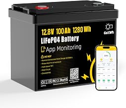 12V 100Ah Group24 LiFePO4 Lithium Battery with Smart APP