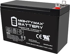 Mighty Max Battery