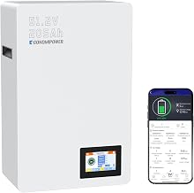 48V 200Ah(205Ah) Lifepo4 Battery Wall Mounted, 10.49KWh Solar Storage 8000+ Cycles 48V Rechargeable Lithium Battery with 200A BMS for Photovoltaic System, Home Use, Emergency, RV