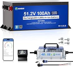 DC HOUSE Metal Case 48V 100Ah Lithium Golf Cart Battery Kit w/ 18A Charger | 200A BMS Lifepo4 Battery with 48V 18A Charger, Bluetooth Mobile APP &amp; LCD Monitor, Peak Current 670A